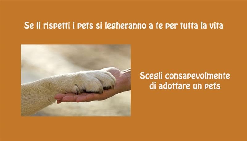 Carezze e coccole Carezze e coccole
